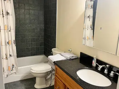 a bathroom with a toilet and a sink and a shower at Stunning 5BR at Hunter and Windham w Oversized Deck, 5 Acres, and Mountain View in Jewett
