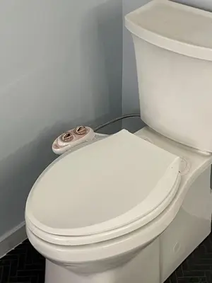 a white toilet with a button on the lid at Downtown 3BR duplex full kitchen parking off i-787 in Albany