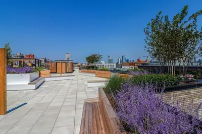 a rooftop garden with purple flowers on a building at Blueground Williamsburg rooftop nr Domino Park NYC-2204 in Brooklyn