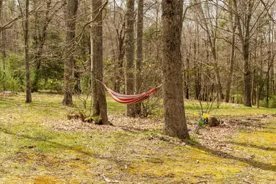 a hammock hanging between two trees in a forest at Log Cabin at the Goat Sanctuary in Napanoch
