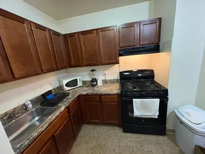 a small kitchen with a stove and a sink at Inner City Charm in New York