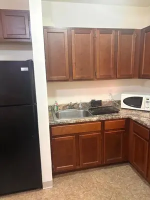 a kitchen with a black refrigerator and a sink at Inner City Charm in New York