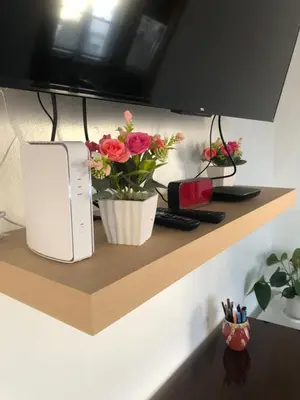 a vase of flowers on a shelf with a television at Comfort house with two bed room in Greenwich