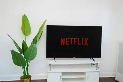 a television on a white stand in a room with a plant at Pet Friendly Jersey City Apartment Near NYC Sleeps 6 with Easy Manhattan Access in Jersey City