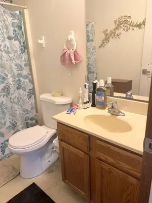 a bathroom with a sink and a toilet and a mirror at Poconos home away from home in East Stroudsburg