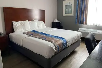 a bedroom with a large bed in a hotel room at Travelodge Inn & Suites by Wyndham Albany in Albany
