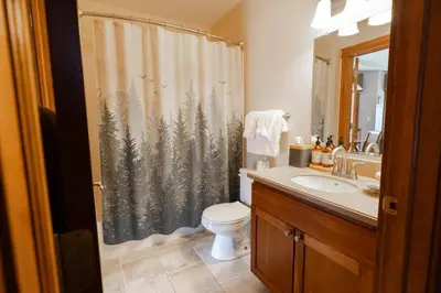 a bathroom with a shower curtain with a toilet and a sink at Winwood Condominiums by Windham Mountain Club in Windham
