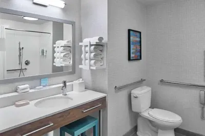 a bathroom with a sink and a toilet and a mirror at Hampton Inn & Suites Saratoga Springs Downtown in Saratoga Springs