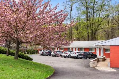 a flowering tree in front of a parking lot at Ardsley Acres Hotel Court in Ardsley