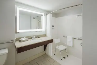 a bathroom with a sink and a toilet and a mirror at Hotel Trilogy Albany Airport, Tapestry Collection by Hilton in Latham