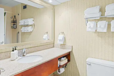 a bathroom with a sink and a mirror and a toilet at Hotel Downstreet, an Ascend Collection Hotel in North Adams