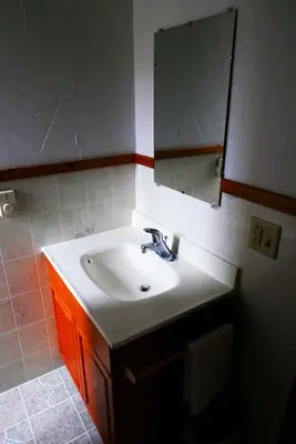 a bathroom with a sink and a mirror at Slide Mountain Forest House in Oliverea