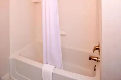 a bathroom with a tub and a shower curtain at Hampton Inn & Suites Albany-East Greenbush, NY in East Greenbush
