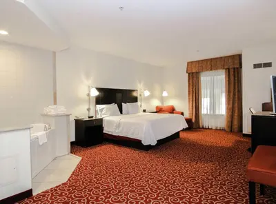 a hotel room with a bed and a red carpet at Hampton Inn Kingston in Kingston