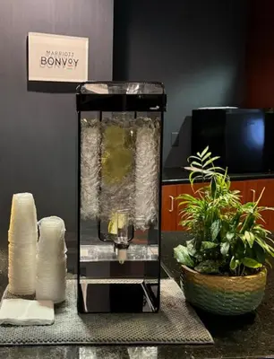a counter with a dispenser with a plant on it at Courtyard by Marriott Kingston in Kingston