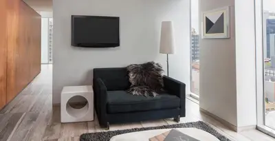 a dog sitting on a chair in a living room at Hotel on Rivington in New York