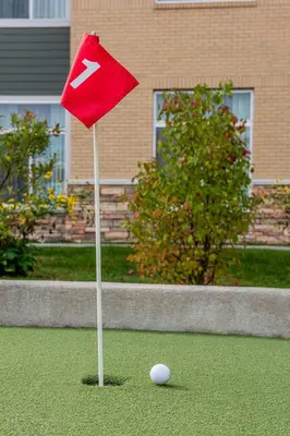 a red flag on a putting green with a golf ball at SpringHill Suites by Marriott Fishkill in Fishkill
