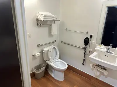 a bathroom with a toilet and a sink at Feather Factory Hotel in Queens