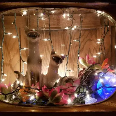 two cats in a glass vase with lights at Carlton Arms Hotel in New York