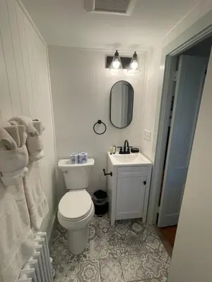 a bathroom with a white toilet and a sink at Arlington Inn & Spa in Arlington