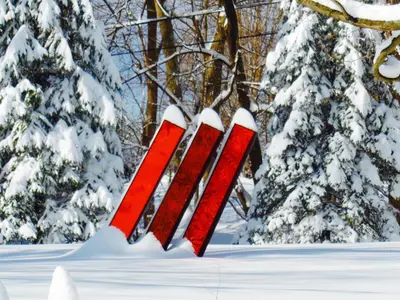 a pair of skis hanging in the snow at Millbrook Country House in Millbrook