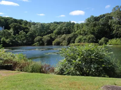 a view of a river with trees in the background at Chalet Inn & Suites in Centerport