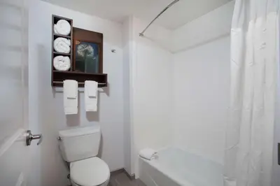 a white bathroom with a toilet and a bath tub at Homewood Suites By Hilton Saratoga Springs in Saratoga Springs