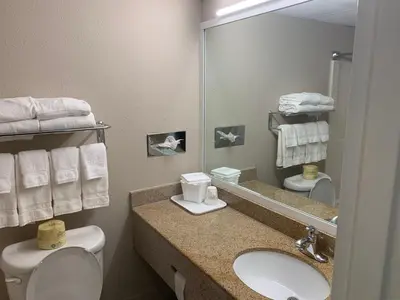 a bathroom with a sink and a toilet and a mirror at Baymont by Wyndham Latham Albany Airport in Latham