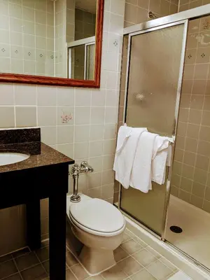 a bathroom with a toilet and a shower at Jets Motor Inn in Queens