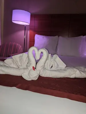 two swans made out of towels on a bed at Jets Motor Inn in Queens
