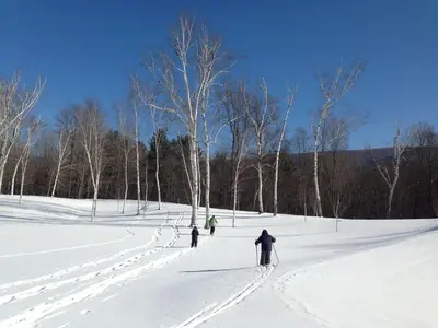 three people cross country skiing in the snow at Wilburton Inn in Manchester
