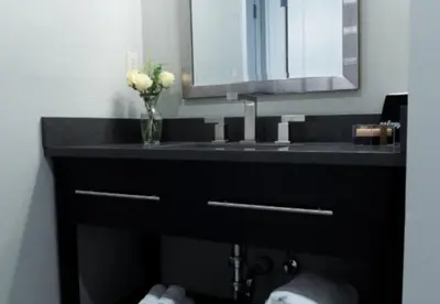 a bathroom with a black sink with a vase of flowers at The Railroad Inn in Cooperstown