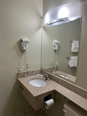 a bathroom with a sink and a mirror at Executive Inn Schenectady Downtown in Schenectady