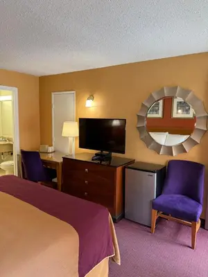 a hotel room with a bed and a mirror at Executive Inn Schenectady Downtown in Schenectady