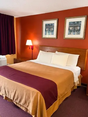 a hotel room with a large bed with orange walls at Executive Inn Schenectady Downtown in Schenectady
