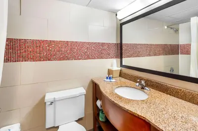 a bathroom with a sink and a mirror and a toilet at Rodeway Inn Capri in Little Ferry