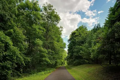 a dirt road with trees on either side at Hilton Garden Inn Albany Airport in Albany