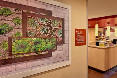 a wall with a painting on a wall at TownePlace Suites by Marriott Albany Downtown/Medical Center in Albany
