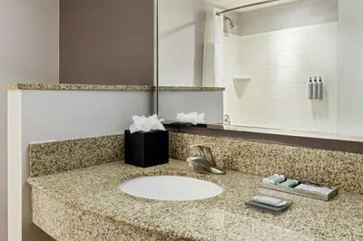 a bathroom counter with a sink and a mirror at Courtyard Hadley Amherst in Hadley