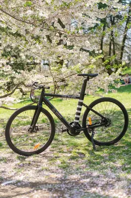 a bike parked on the grass under a tree at The Mark New York in New York