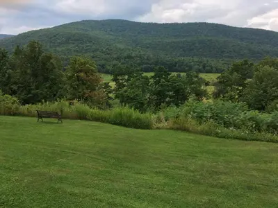 a bench in a field with a mountain in the background at Cave Mountain Motel in Windham