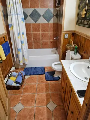 a bathroom with a tub and a toilet and a sink at Clover Hill Farm & Country Inn in Williamstown