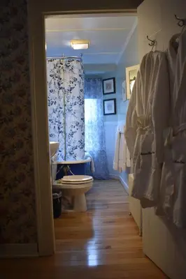 a bathroom with a toilet and a shower curtain at Harbour House Inn B&B in Cheshire