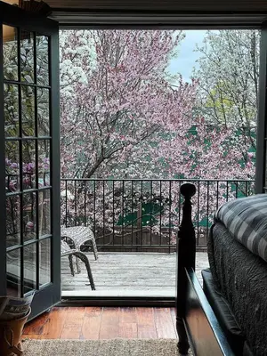 a sliding glass door with a view of a tree at Wm. Farmer and Sons in Hudson