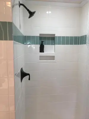 a shower with a black cat in a bathroom at Wind in the Willows Overnight in Jefferson