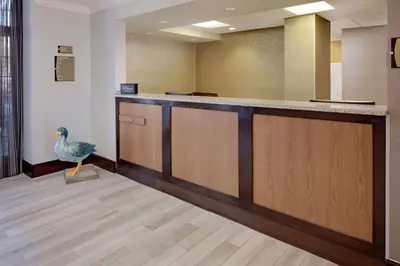 a peacock standing in front of a bar in a waiting room at Homewood Suites by Hilton Hartford-Farmington in Farmington