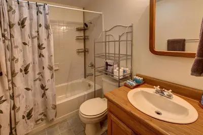 a bathroom with a sink and a toilet and a shower at The Guest House in Margaretville