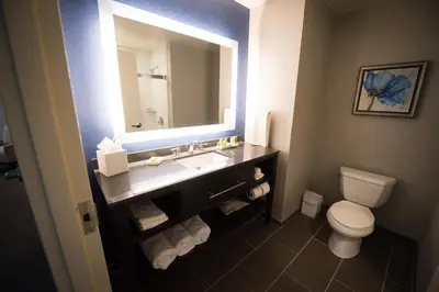 a bathroom with a sink and a toilet and a mirror at Hilton Scranton & Conference Center in Scranton