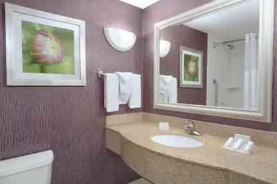 a bathroom with a sink and a mirror at Hilton Garden Inn Springfield, MA in Springfield