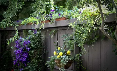 a fence with a bunch of flowers on it at Morgan State House Inn in Albany